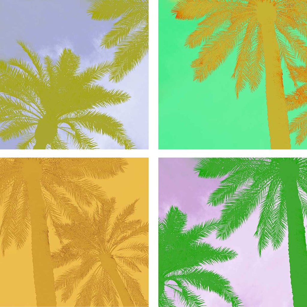 graphic palm tree art