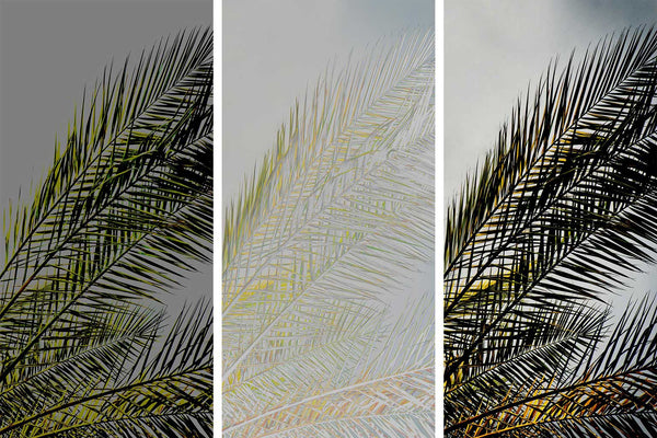 palm leaf art