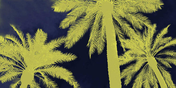 palm tree art