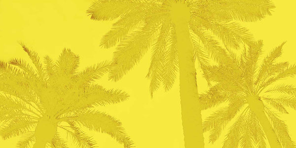 Yellow Palm Tree Art