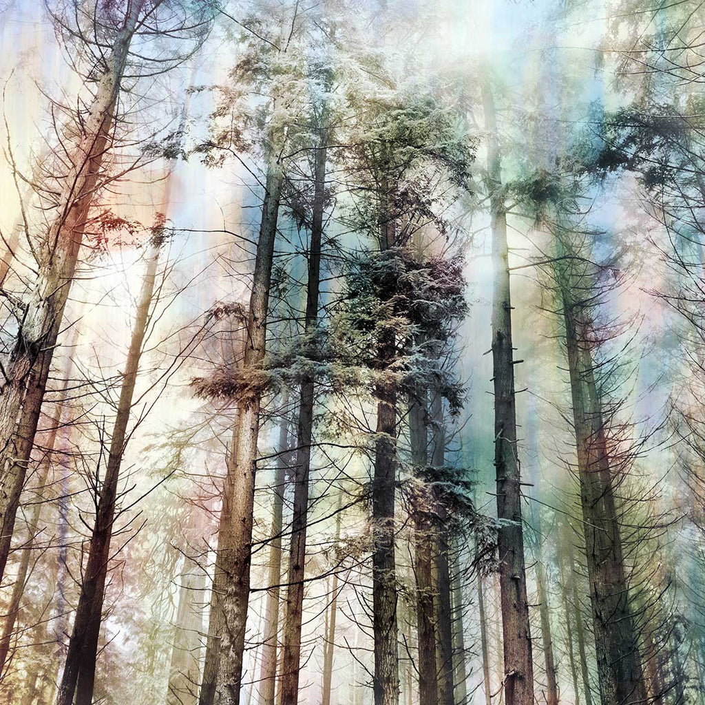 pine trees art mural