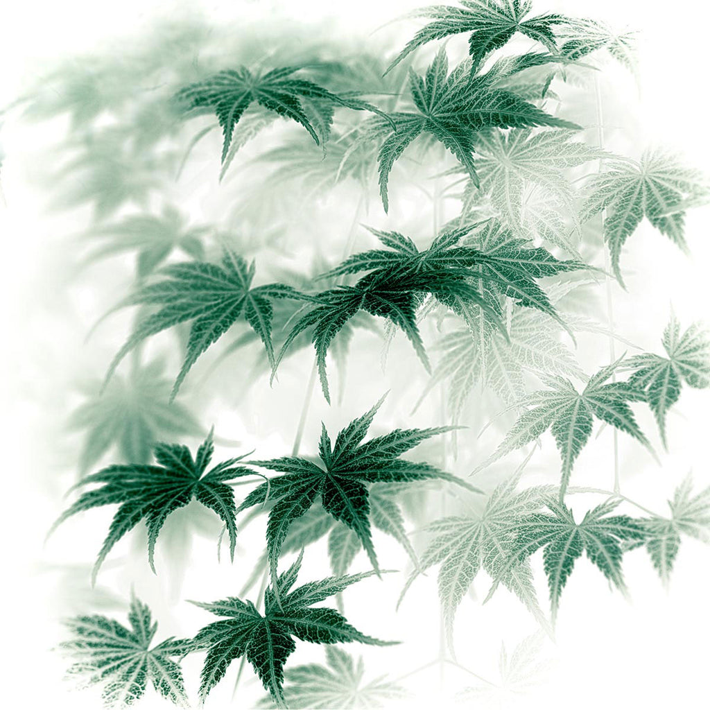 organic leaf art
