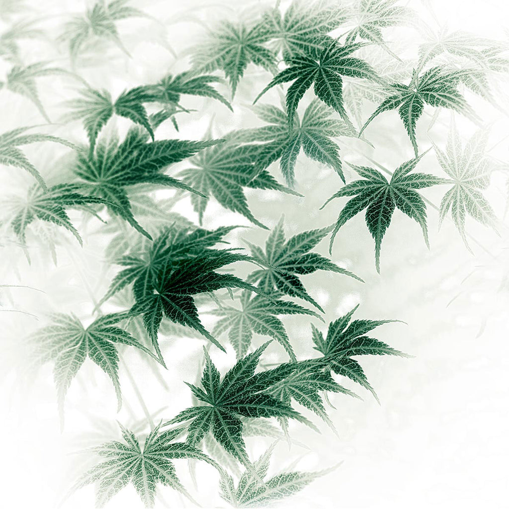 organic leaf artwork