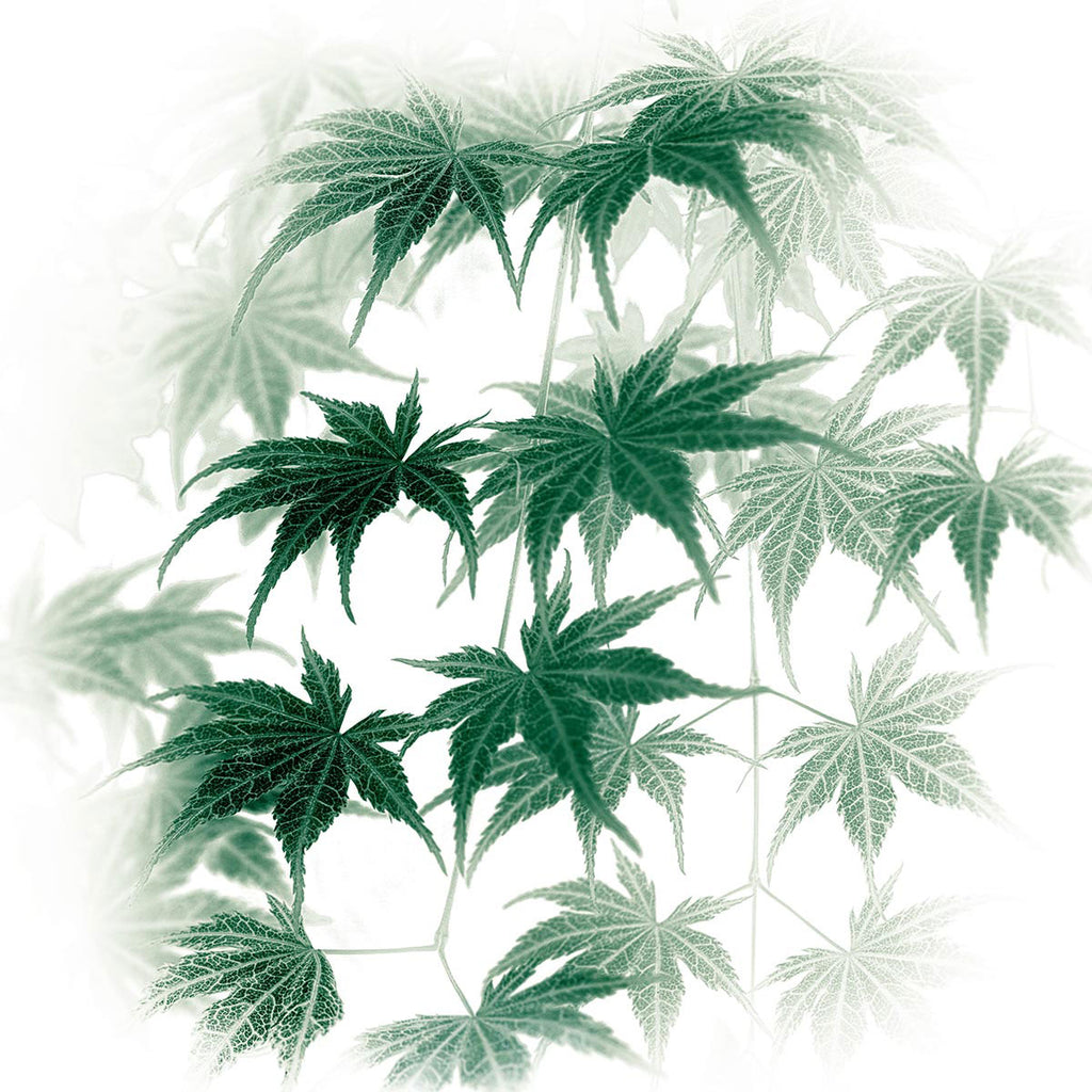 custom nature artwork