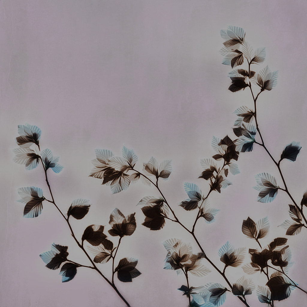 leaf fine art