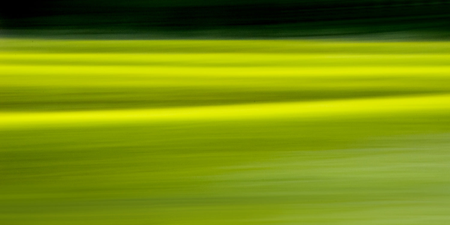 Spring Landscape Artwork