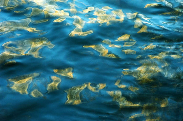 The Art In Water