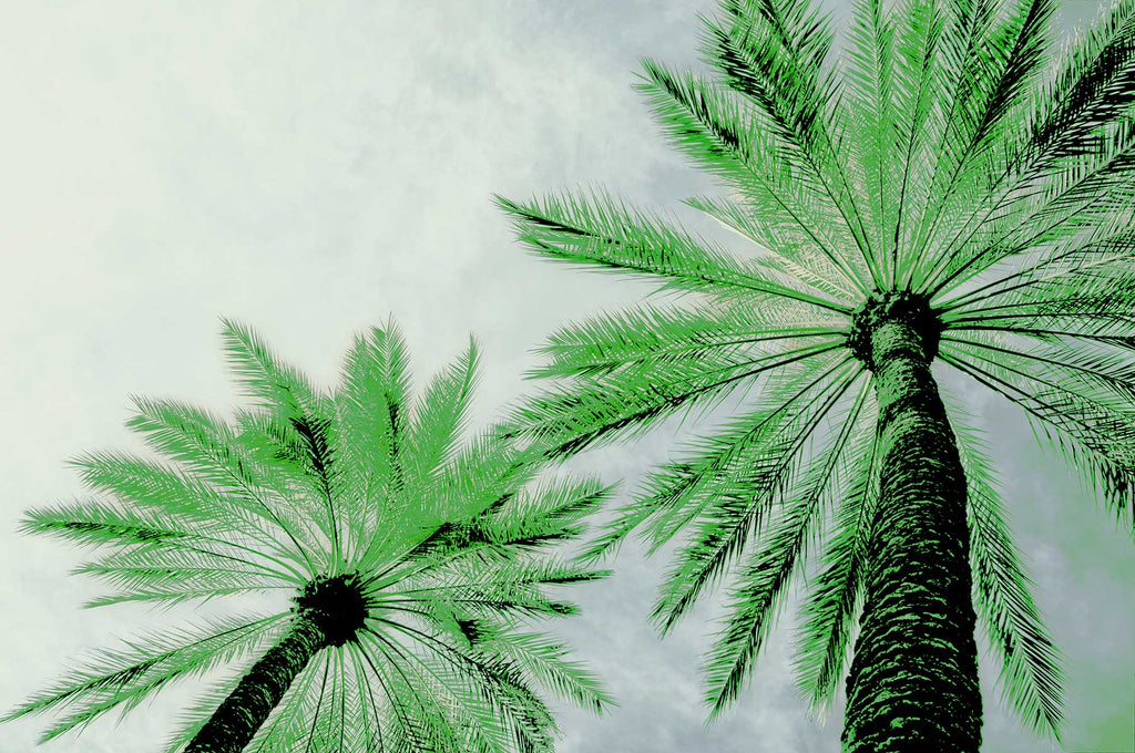 tropic tree artwork