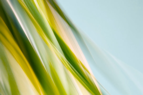 abstract tropical leaf artwork