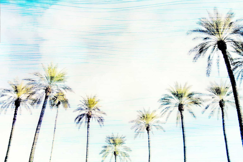 Abstract Palm Tree Art