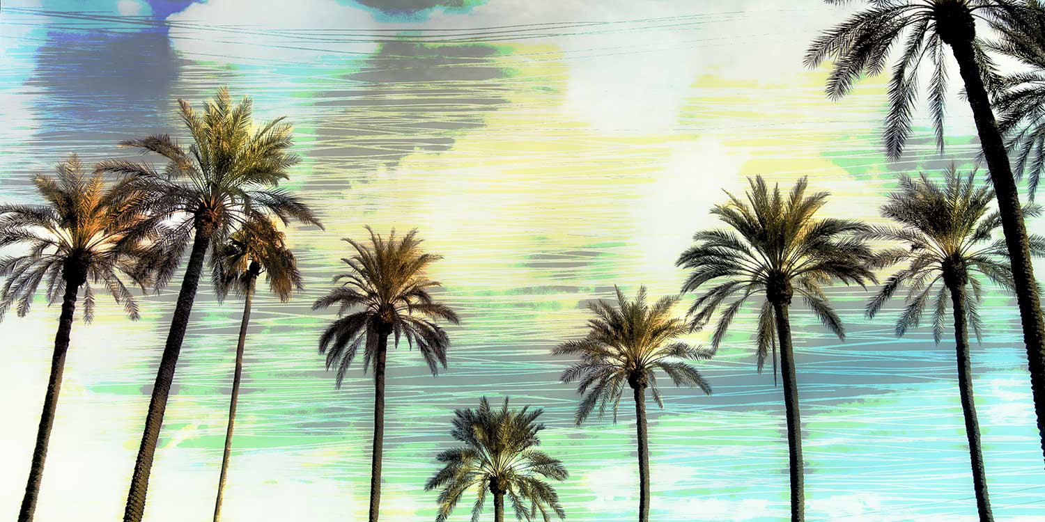 Tropical Palm Tree Art