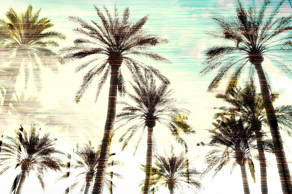 Abstract Palm Tree Artwork