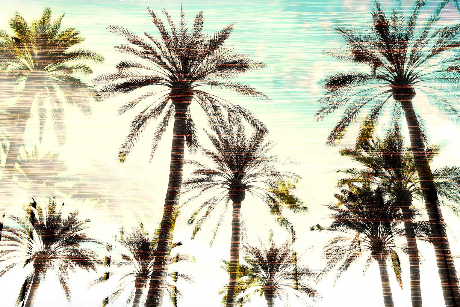 Abstract Palm Tree Artwork
