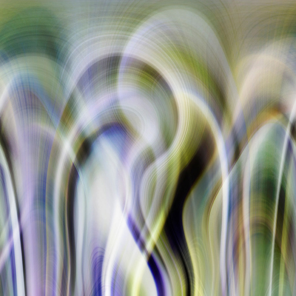 abstract digital photography art