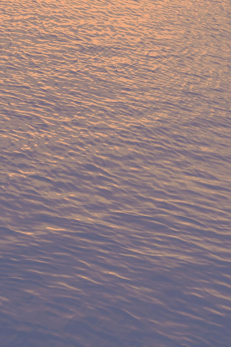 orange water colour art