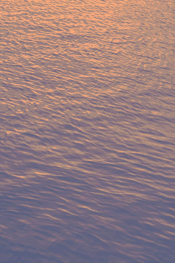 orange water colour art