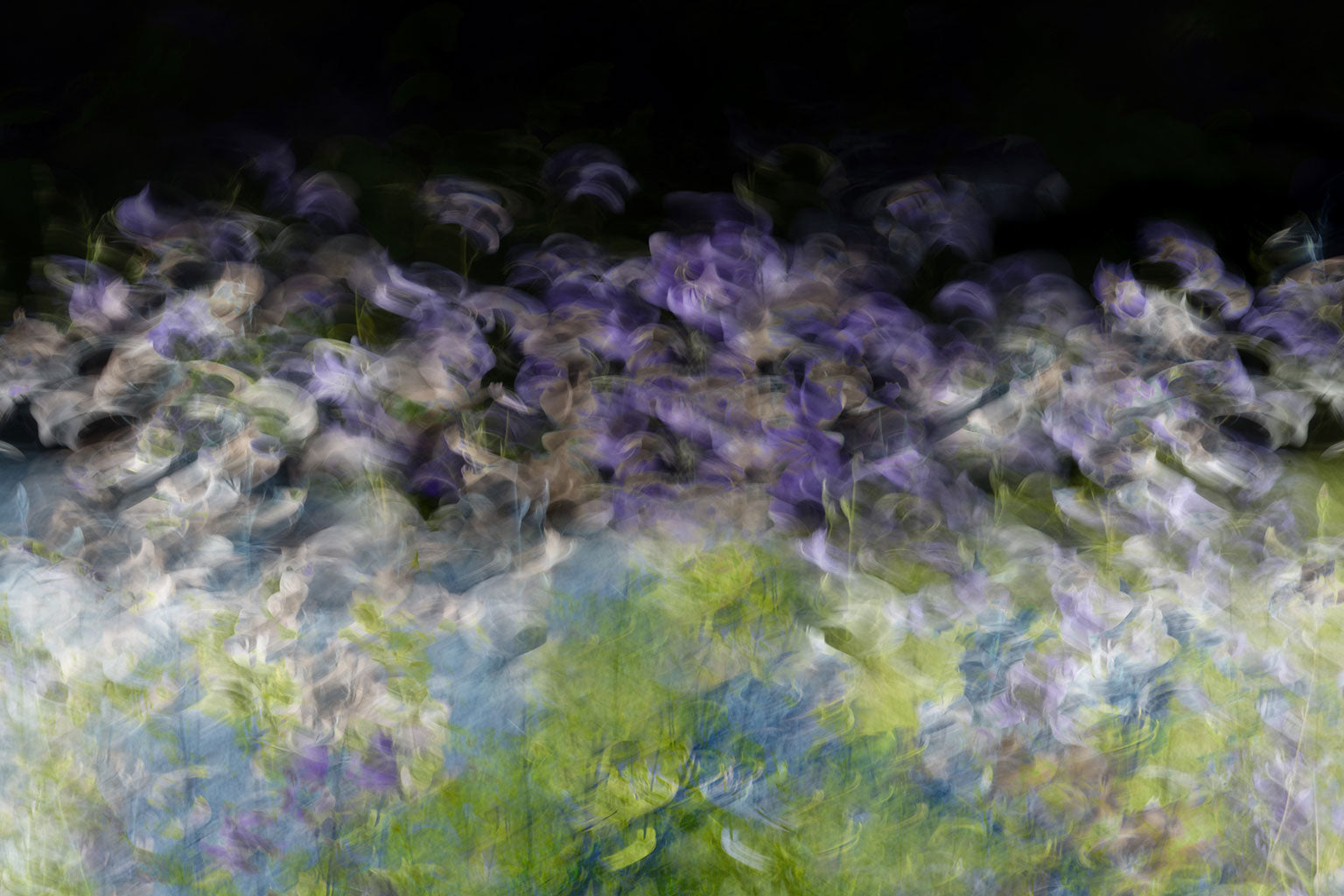 abstract flower art