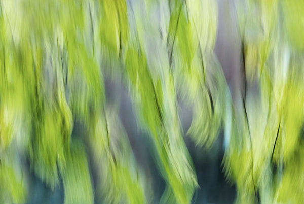 impressionist leaves 