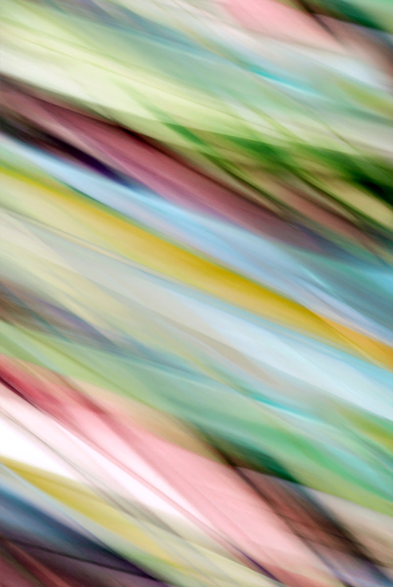 abstract botanical colorful artwork