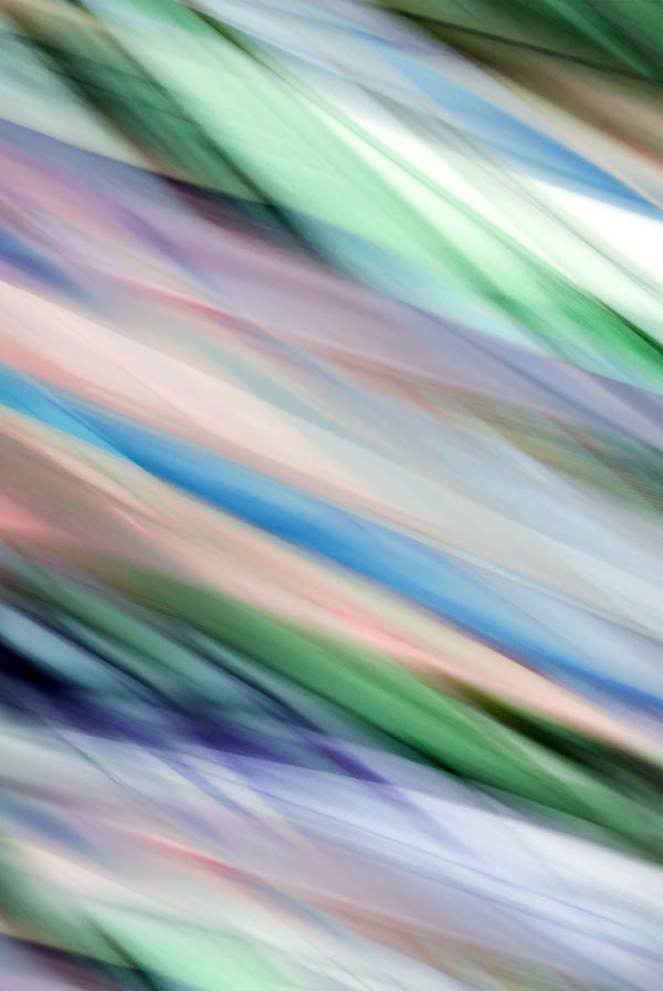 Abstract multicolored botanical leaves