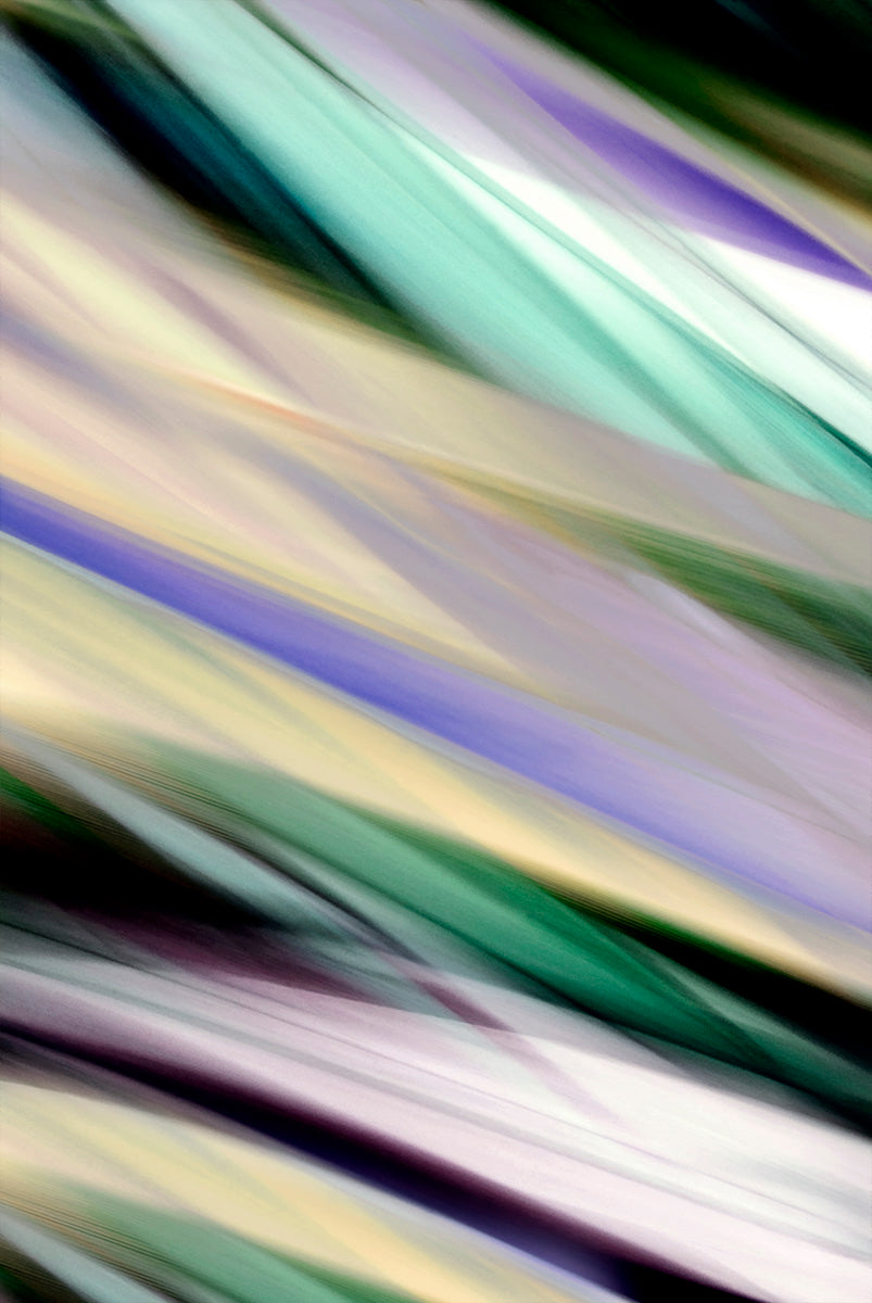 Abstract botanical art pastel and saturated colors including green, purple, cream, black, and white, arranged diagonally across the frame.