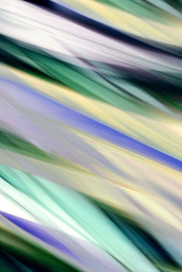 Abstract colorful botanical plant with diagonal stripes