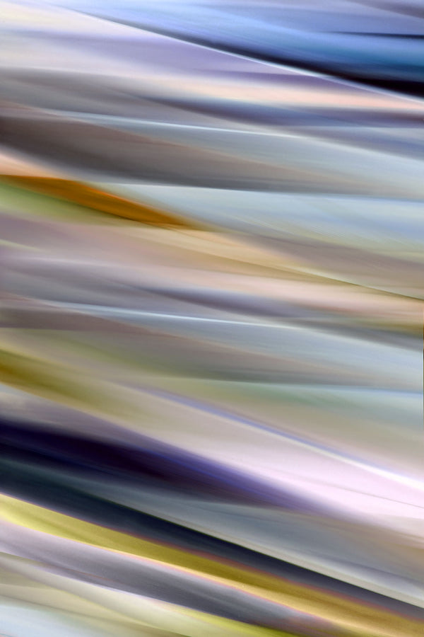 Abstract multicolored botanical plant leaves