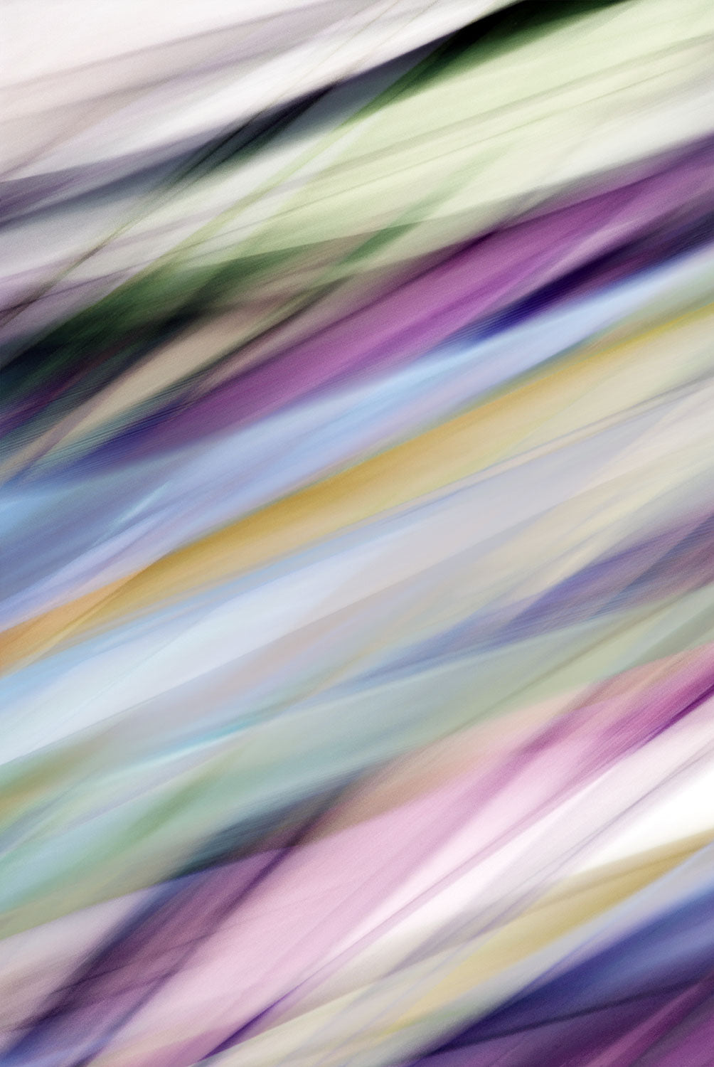 botanical colorful artwork