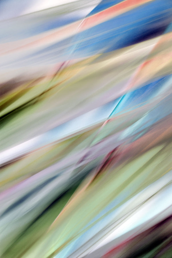 colorful abstract botanical leaves 