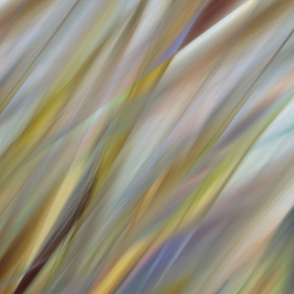 abstract close up of botanical leaves