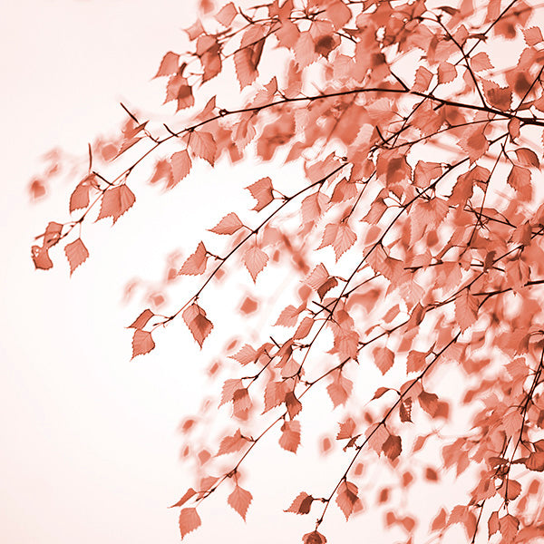 biophilic leaves art orange branches and leaves