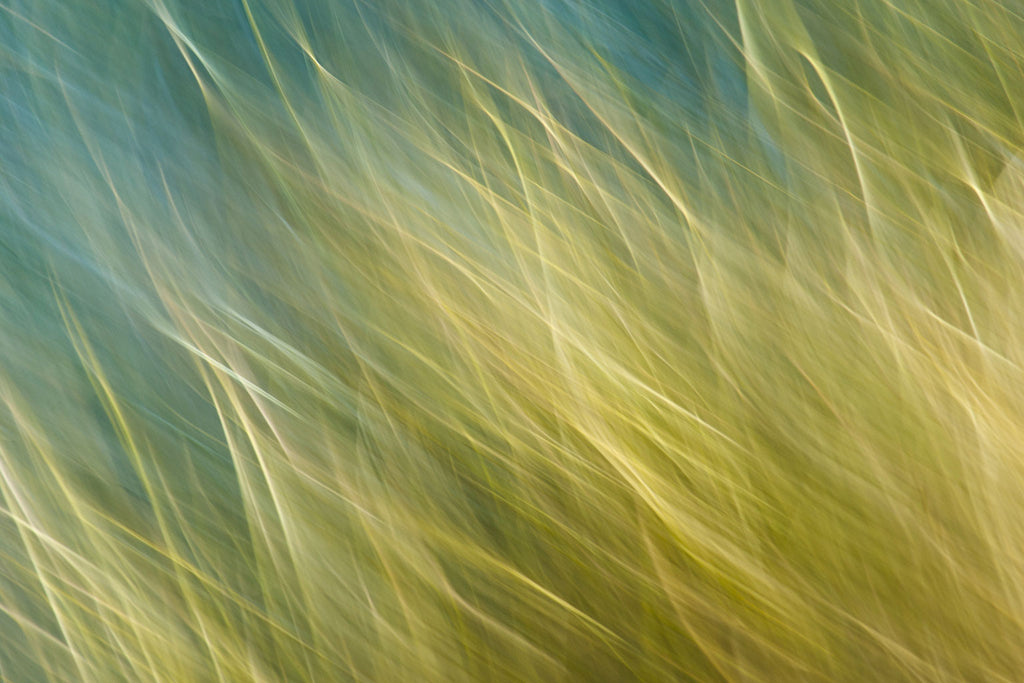 spring grass art
