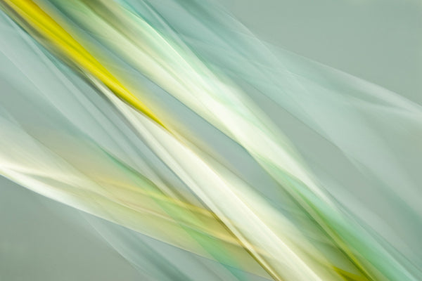 modern botanical leaves in shades of green