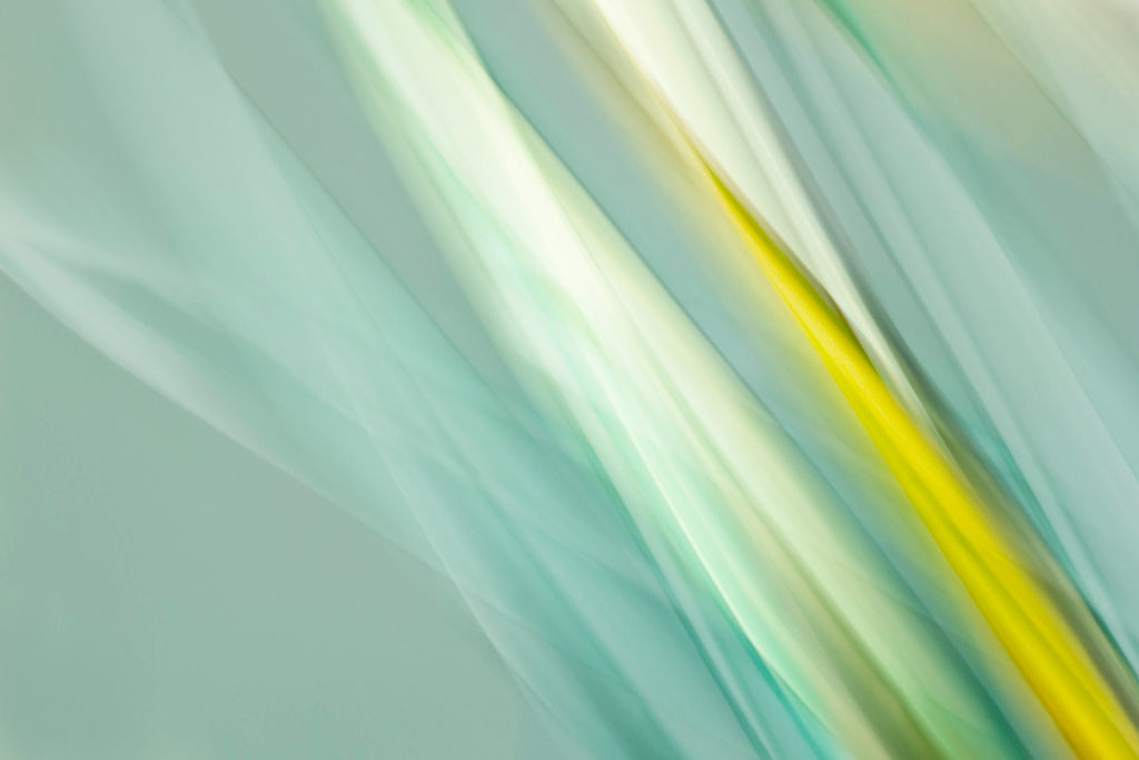 modern botanical tropical leaf art