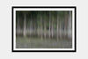 framed night-forest-art