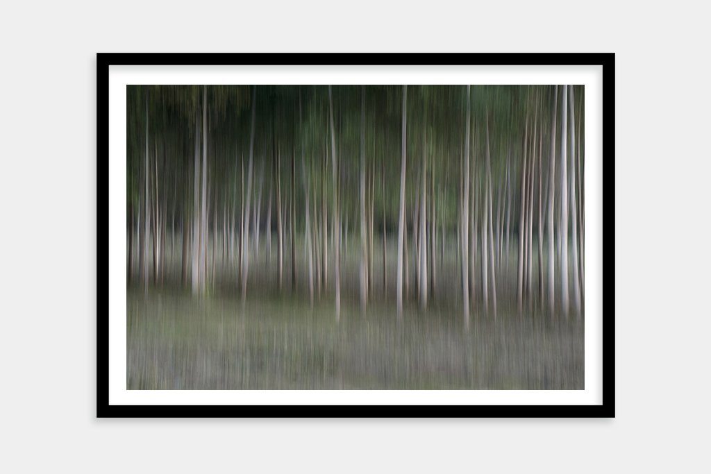 framed night-forest-art