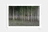 night-forest-art print