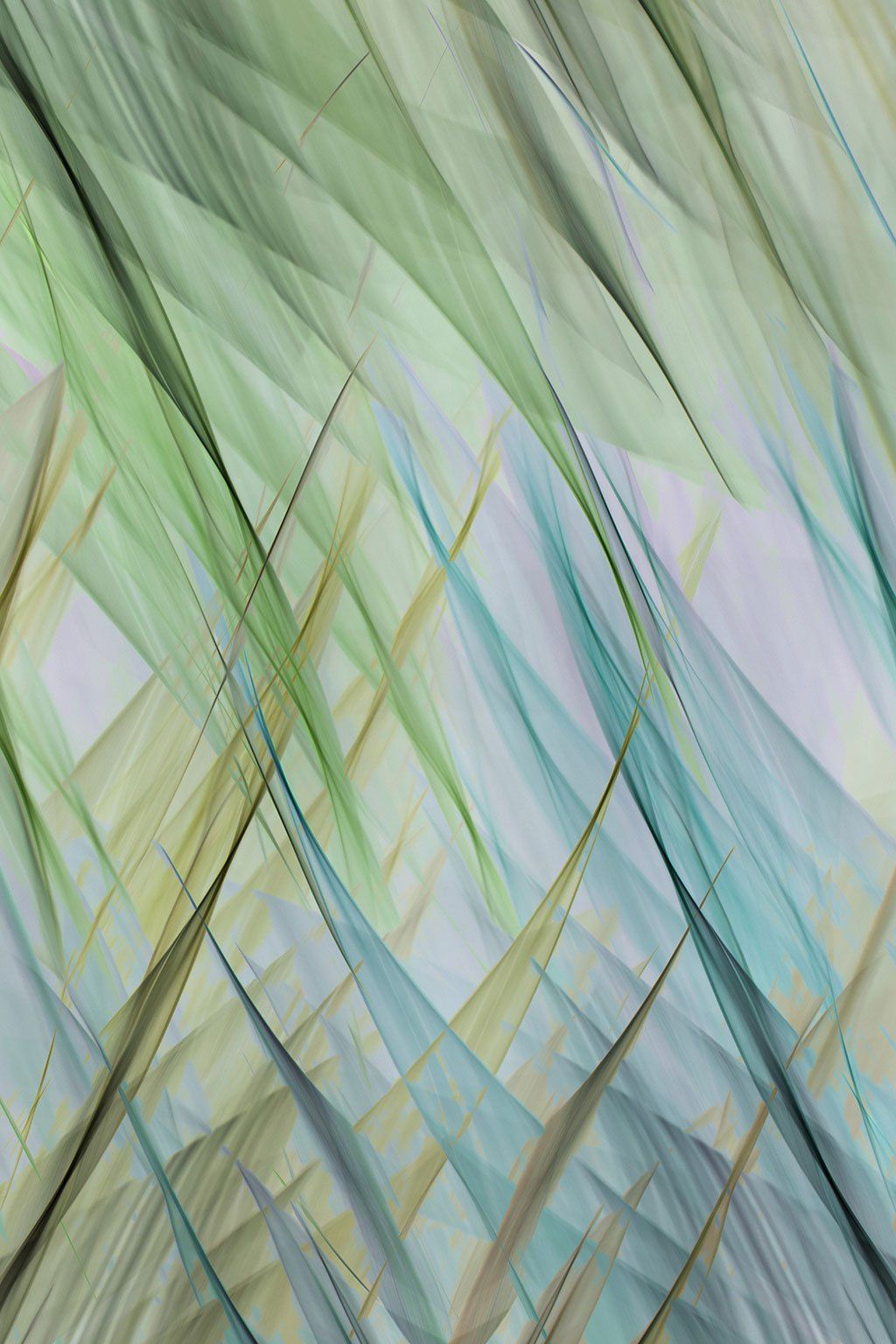 nature geometric art